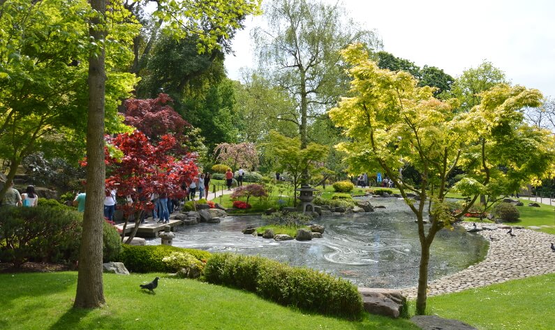 Holland Park : un paradis de calme et de verdure au centre de Londres